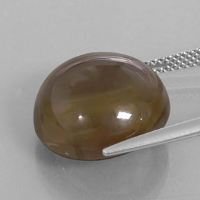 13,43 ctw natürlicher brauner Rauchquarz, Rundschliff, Transparent