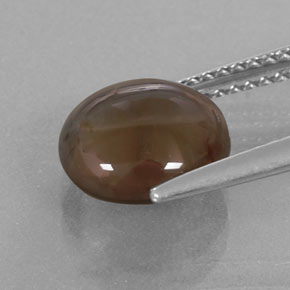 2,76 ctw natürlicher brauner Rauchquarz, Rundschliff, Transparent