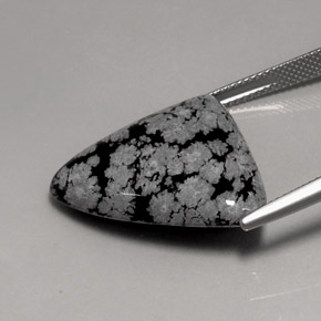 17,24 ctw natürlicher mehrfarbiger Schneeflockenobsidian, Trillion, Lichtundurchlässig
