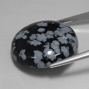 16,93 ctw natürlicher schwarzer Schneeflockenobsidian, Rundschliff, Lichtundurchlässig