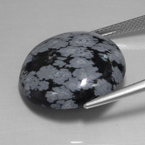 16,26 ctw natürlicher schwarzer Schneeflockenobsidian, Rundschliff, Lichtundurchlässig