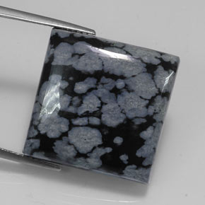 20,67 ctw natürlicher schwarzer Schneeflockenobsidian, Quadrat, Lichtundurchlässig