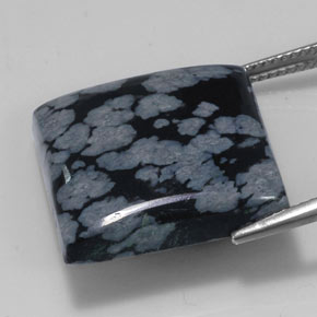 23,11 ctw natürlicher schwarzer Schneeflockenobsidian, Quadrat, Lichtundurchlässig