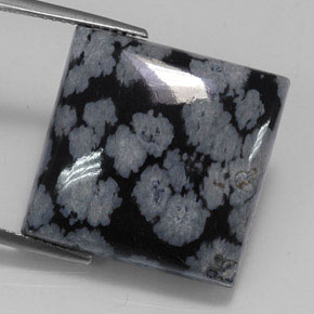 20,36 ctw natürlicher schwarzer Schneeflockenobsidian, Quadrat, Lichtundurchlässig
