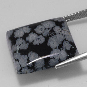 20,36 ctw natürlicher schwarzer Schneeflockenobsidian, Quadrat, Lichtundurchlässig