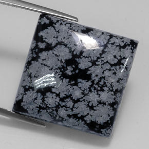22,09 ctw natürlicher schwarzer Schneeflockenobsidian, Quadrat, Lichtundurchlässig