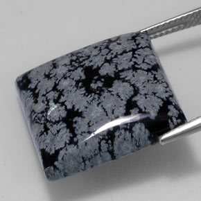22,09 ctw natürlicher schwarzer Schneeflockenobsidian, Quadrat, Lichtundurchlässig