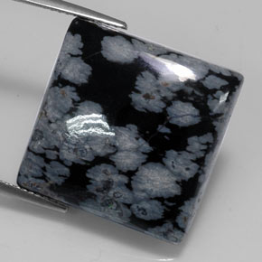 20,19 ctw natürlicher schwarzer Schneeflockenobsidian, Quadrat, Lichtundurchlässig
