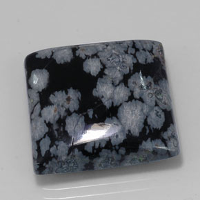 20,19 ctw natürlicher schwarzer Schneeflockenobsidian, Quadrat, Lichtundurchlässig