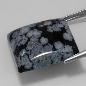 20,19 ctw natürlicher schwarzer Schneeflockenobsidian, Quadrat, Lichtundurchlässig