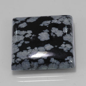 21,45 ctw natürlicher schwarzer Schneeflockenobsidian, Quadrat, Lichtundurchlässig