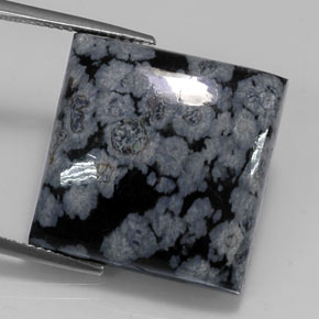 22,67 ctw natürlicher schwarzer Schneeflockenobsidian, Quadrat, Lichtundurchlässig