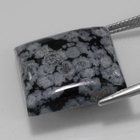 22,67 ctw natürlicher schwarzer Schneeflockenobsidian, Quadrat, Lichtundurchlässig