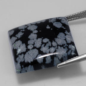 21,53 ctw natürlicher schwarzer Schneeflockenobsidian, Quadrat, Lichtundurchlässig