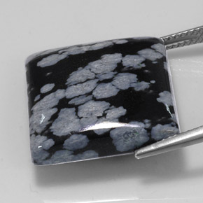 22,60 ctw natürlicher schwarzer Schneeflockenobsidian, Quadrat, Lichtundurchlässig