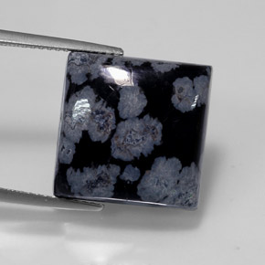 12,55 ctw natürlicher schwarzer Schneeflockenobsidian, Quadrat, Lichtundurchlässig