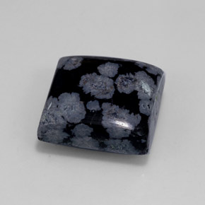 12,55 ctw natürlicher schwarzer Schneeflockenobsidian, Quadrat, Lichtundurchlässig