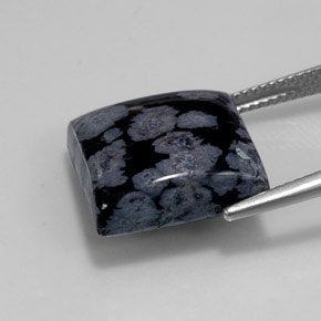 12,55 ctw natürlicher schwarzer Schneeflockenobsidian, Quadrat, Lichtundurchlässig