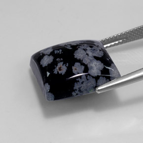 11,52 ctw natürlicher mehrfarbiger Schneeflockenobsidian, Quadrat, Lichtundurchlässig