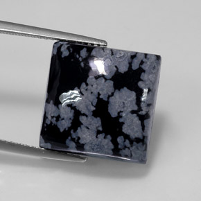 12,14 ctw natürlicher schwarzer Schneeflockenobsidian, Quadrat, Lichtundurchlässig