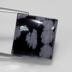 11,19 ctw natürlicher schwarzer Schneeflockenobsidian, Quadrat, Lichtundurchlässig