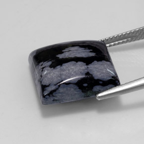 11,19 ctw natürlicher schwarzer Schneeflockenobsidian, Quadrat, Lichtundurchlässig