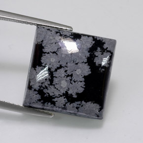 11,84 ctw natürlicher schwarzer Schneeflockenobsidian, Quadrat, Lichtundurchlässig