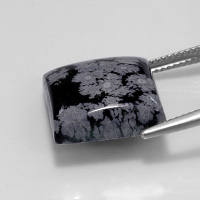 11,84 ctw natürlicher schwarzer Schneeflockenobsidian, Quadrat, Lichtundurchlässig