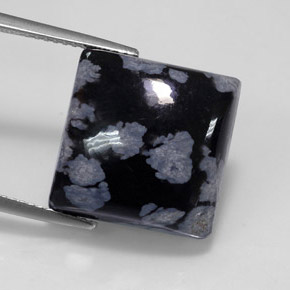 11,46 ctw natürlicher mehrfarbiger Schneeflockenobsidian, Quadrat, Lichtundurchlässig