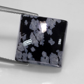12,37 ctw natürlicher schwarzer Schneeflockenobsidian, Quadrat, Lichtundurchlässig