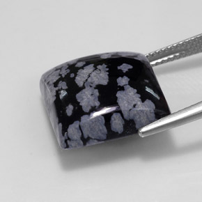 12,37 ctw natürlicher schwarzer Schneeflockenobsidian, Quadrat, Lichtundurchlässig