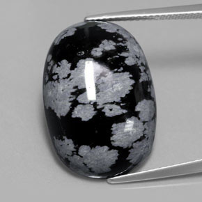 13,62 ctw natürlicher schwarzer Schneeflockenobsidian, Oval Schliff, Lichtundurchlässig
