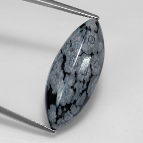 8,69 ctw natürlicher mehrfarbiger Schneeflockenobsidian, Marquise, Lichtundurchlässig