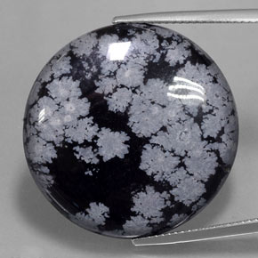 29,16 ctw natürlicher schwarzer Schneeflockenobsidian, Rundschliff, Lichtundurchlässig