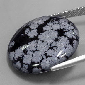 29,16 ctw natürlicher schwarzer Schneeflockenobsidian, Rundschliff, Lichtundurchlässig