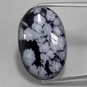 22,37 ctw natürlicher schwarzer Schneeflockenobsidian, Oval Schliff, Lichtundurchlässig