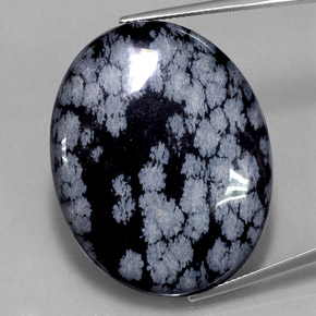 48,46 ctw natürlicher schwarzer Schneeflockenobsidian, Oval Schliff, Lichtundurchlässig