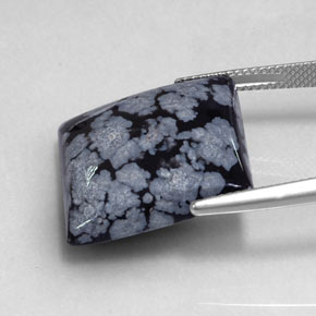 19,17 ctw natürlicher schwarzer Schneeflockenobsidian, Quadrat, Lichtundurchlässig