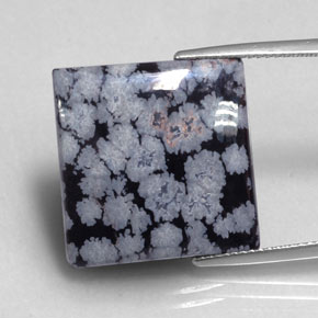 16,12 ctw natürlicher schwarzer Schneeflockenobsidian, Quadrat, Lichtundurchlässig
