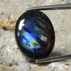 9,17 ctw natürlicher Mehrfarbig Spektrolith, Oval Schliff, Lichtundurchlässig