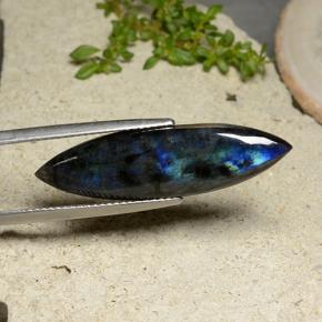 9,17 ctw natürlicher Mehrfarbig Spektrolith, Marquise, Lichtundurchlässig