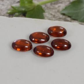 4,97 ct natürliche orangefarbener Spessartin-Edelsteine, Transparent, Transparent / Lichtdurchlässig