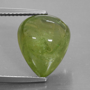 10,20 ctw natürlicher grüner Sphen, Transparent, Transparent / Lichtdurchlässig