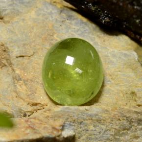 5,04 ctw natürlicher grüner Sphen, Oval Schliff, Lichtdurchlässig