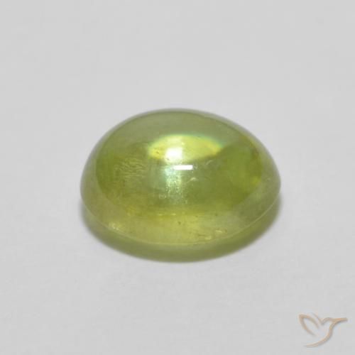 9,17 ctw natürlicher Warmes Waldgrün Sphene, Oval, Transparent