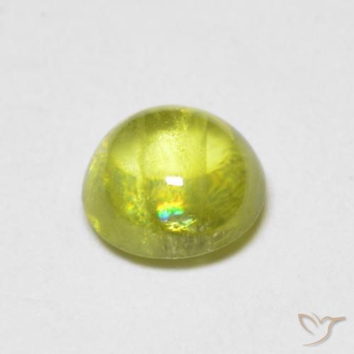 9,17 ctw natürlicher Warmes Waldgrün Sphene, Runden, Transparent