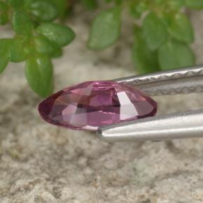 0,62 ctw natürlicher violetter Spinell, Marquise, VVS-VS