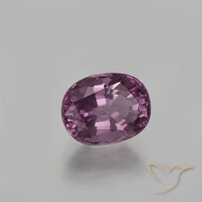 9,17 ctw natürlicher Mittel-Dunkelviolett Spinell, Oval, VS