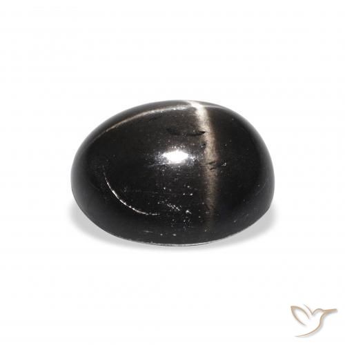 9,17 ctw natürlicher Schwarz Sterndiopsid, Oval, Lichtundurchlässig