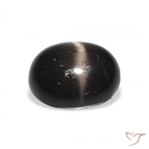 9,17 ctw natürlicher Schwarz Sterndiopsid, Oval, Lichtundurchlässig